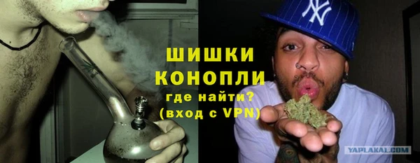 стаф Каменногорск