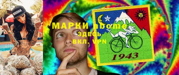 стаф Каменногорск