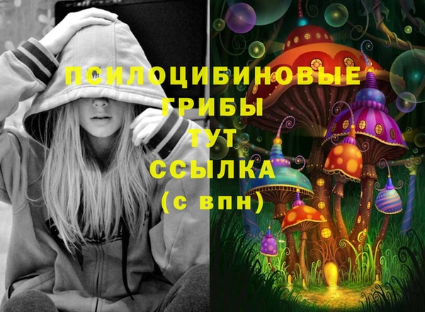 первитин Каменск-Шахтинский