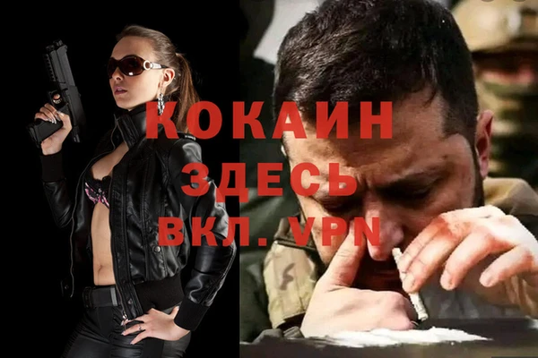 стаф Каменногорск