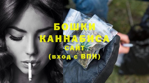 стаф Каменногорск